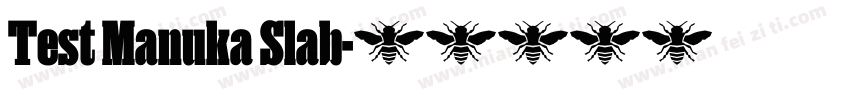 Test Manuka Slab字体转换